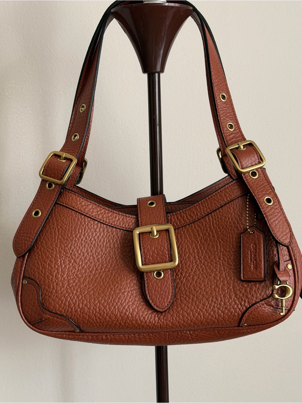 Coach bag 31
